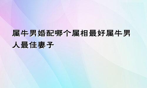 属牛男婚配哪个属相最好属牛男人最佳妻子