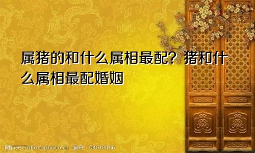 属猪的和什么属相最配？猪和什么属相最配婚姻