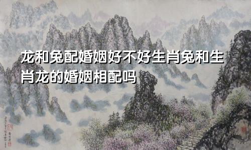 龙和兔配婚姻好不好生肖兔和生肖龙的婚姻相配吗
