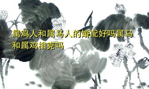 属鸡人和属马人的婚配好吗属马和属鸡相克吗