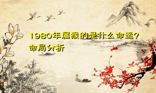 1980年属猴的是什么命运?命局分析
