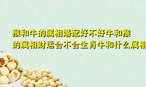 猴和牛的属相婚配好不好牛和猴的属相财运合不合生肖牛和什么属相相冲？