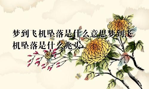 梦到飞机坠落是什么意思梦到飞机坠落是什么兆头