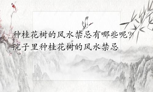 种桂花树的风水禁忌有哪些呢?院子里种桂花树的风水禁忌