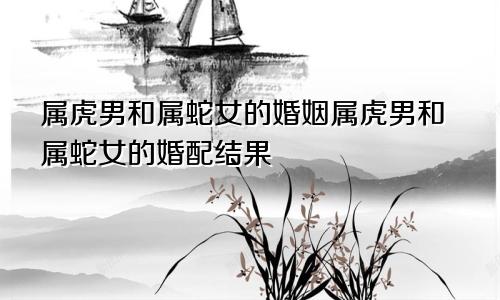 属虎男和属蛇女的婚姻属虎男和属蛇女的婚配结果