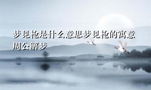 梦见枪是什么意思梦见枪的寓意周公解梦