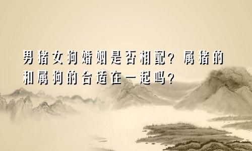 男猪女狗婚姻是否相配？属猪的和属狗的合适在一起吗？