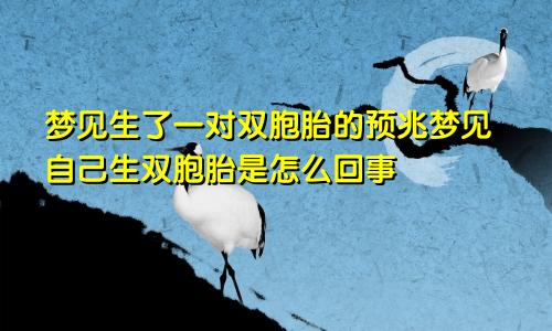 梦见生了一对双胞胎的预兆梦见自己生双胞胎是怎么回事