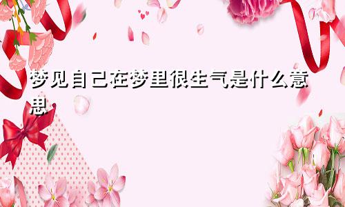 梦见自己在梦里很生气是什么意思