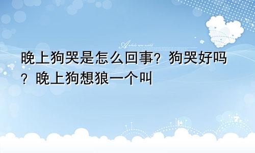 晚上狗哭是怎么回事?狗哭好吗?晚上狗想狼一个叫
