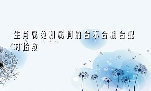 生肖属兔和属狗的合不合相合配对指数