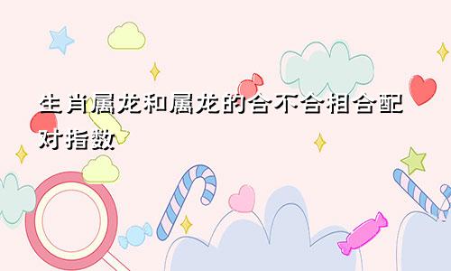 生肖属龙和属龙的合不合相合配对指数