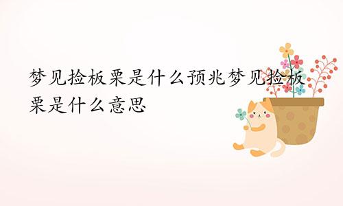 梦见捡板栗是什么预兆梦见捡板栗是什么意思