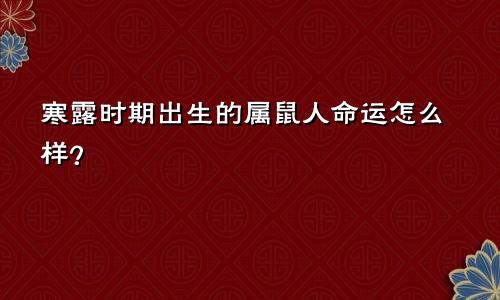 寒露时期出生的属鼠人命运怎么样？