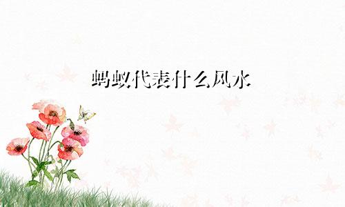 蚂蚁代表什么风水