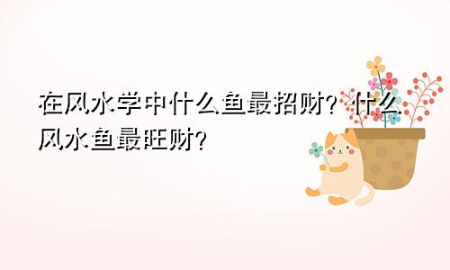 在风水学中什么鱼最招财?什么风水鱼最旺财?
