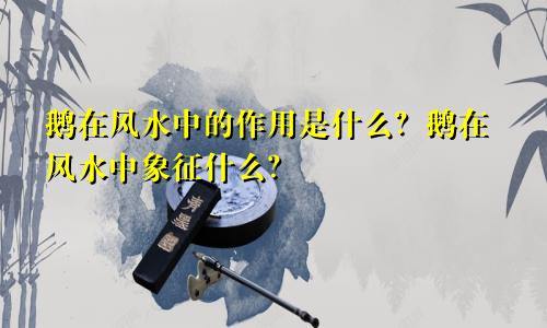 鹅在风水中的作用是什么?鹅在风水中象征什么?