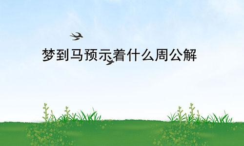梦到马预示着什么周公解