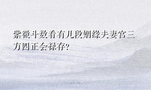 紫微斗数看有几段姻缘夫妻宫三方四正会禄存?