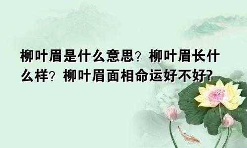 柳叶眉是什么意思?柳叶眉长什么样?柳叶眉面相命运好不好?