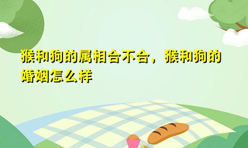 猴和狗的属相合不合，猴和狗的婚姻怎么样