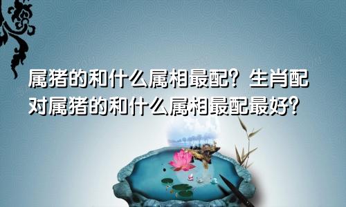 属猪的和什么属相最配？生肖配对属猪的和什么属相最配最好？
