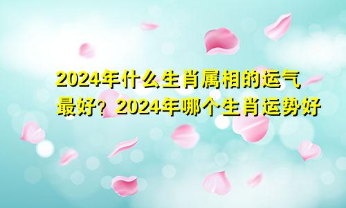 2024年什么生肖属相的运气最好？2024年哪个生肖运势好