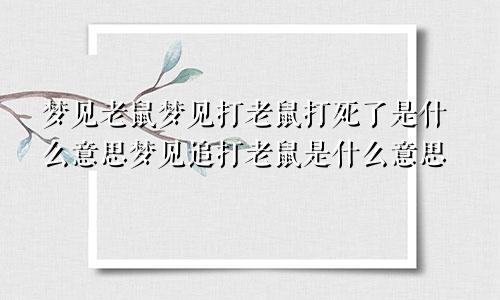 梦见老鼠梦见打老鼠打死了是什么意思梦见追打老鼠是什么意思