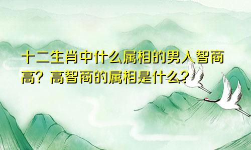 十二生肖中什么属相的男人智商高？高智商的属相是什么？