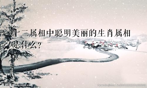 十二属相中聪明美丽的生肖属相是什么？