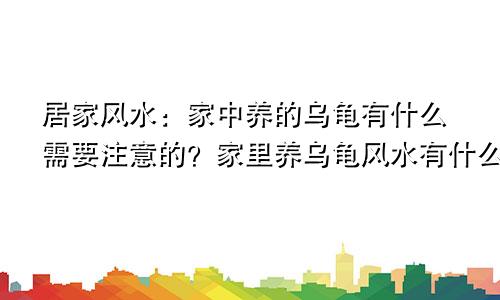 居家风水:家中养的乌龟有什么需要注意的?家里养乌龟风水有什么禁忌