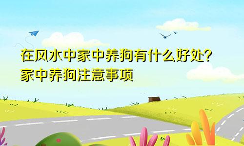 在风水中家中养狗有什么好处?家中养狗注意事项