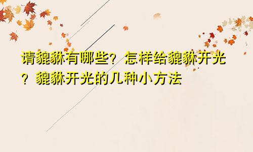 请貔貅有哪些?怎样给貔貅开光?貔貅开光的几种小方法