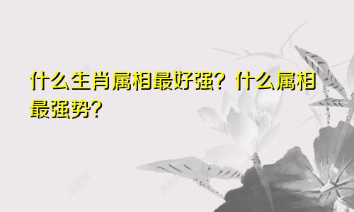 什么生肖属相最好强？什么属相最强势？