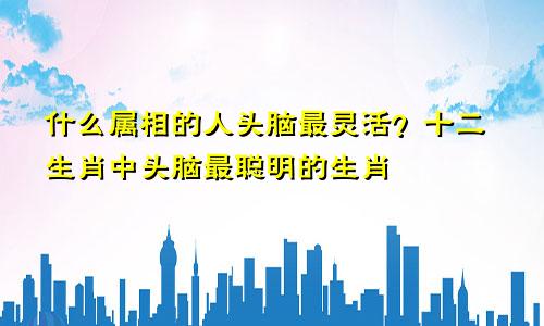 什么属相的人头脑最灵活？十二生肖中头脑最聪明的生肖