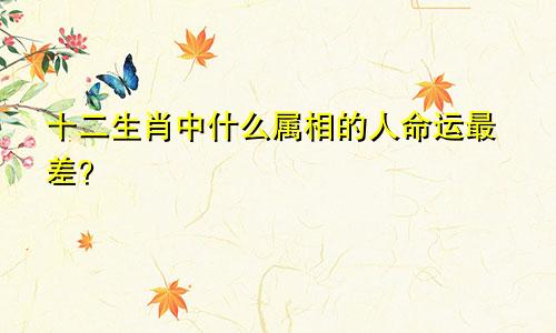 十二生肖中什么属相的人命运最差？