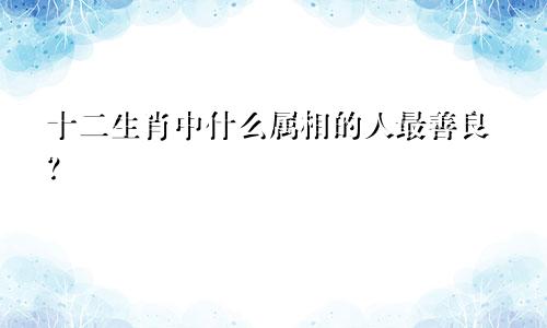 十二生肖中什么属相的人最善良？