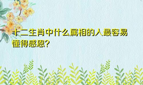 十二生肖中什么属相的人最容易懂得感恩？