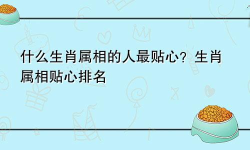 什么生肖属相的人最贴心？生肖属相贴心排名