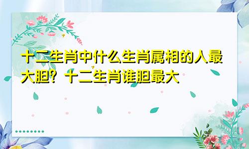 十二生肖中什么生肖属相的人最大胆？十二生肖谁胆最大