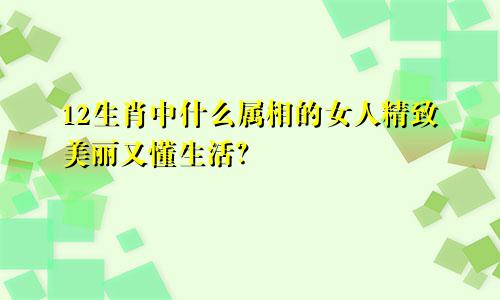 12生肖中什么属相的女人精致美丽又懂生活？