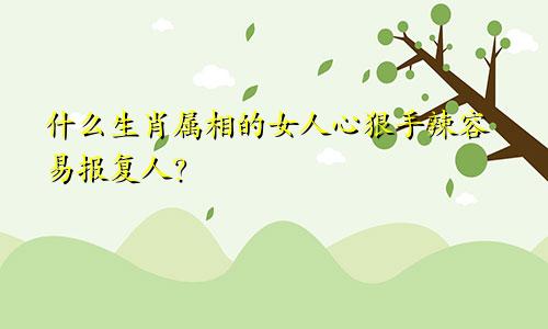 什么生肖属相的女人心狠手辣容易报复人？