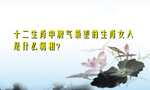 十二生肖中脾气最差的生肖女人是什么属相？