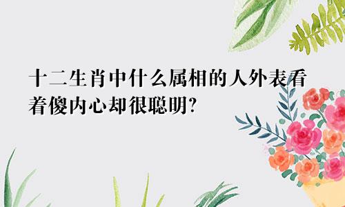 十二生肖中什么属相的人外表看着傻内心却很聪明？