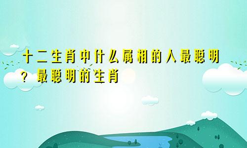 十二生肖中什么属相的人最聪明？最聪明的生肖