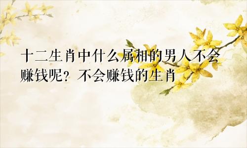 十二生肖中什么属相的男人不会赚钱呢？不会赚钱的生肖