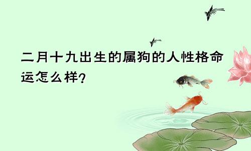 二月十九出生的属狗的人性格命运怎么样？
