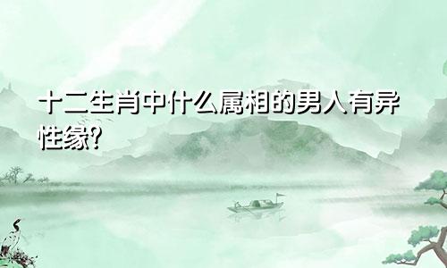 十二生肖中什么属相的男人有异性缘？