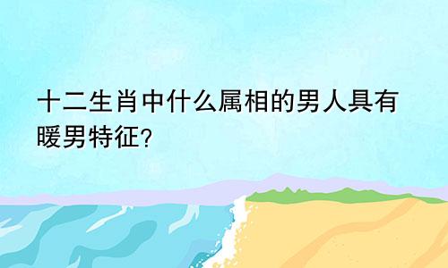 十二生肖中什么属相的男人具有暖男特征？