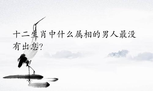 十二生肖中什么属相的男人最没有出息？